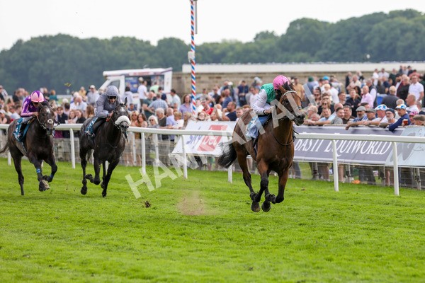 170524-Race 5-Lead Artist-2241 - Race 5 4.15pm  Darley EBF Novice Stakes