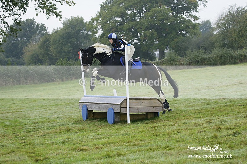 WWHT 171021 0127 - Novice Restricted (0.80m)  17/10/21