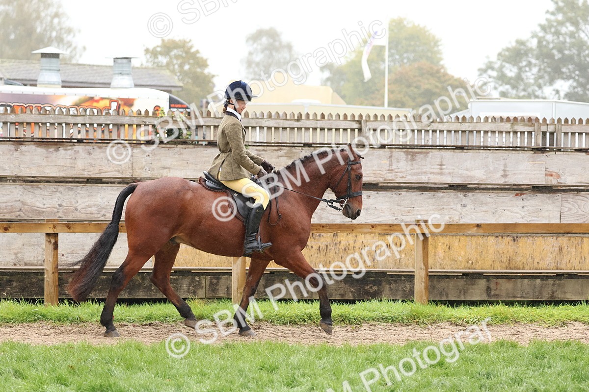 SBM_72991 - S63 Show Pony & Show Hunter Pony Ridden