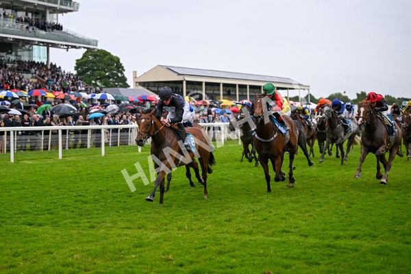 150624-Race 7-Holkham Bay-8196 - Race 7 5.25pm Fordy Marshall Land And Property Consultants Handicap