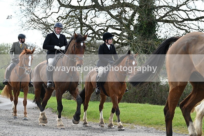 WJ7_9885 - Walk Home