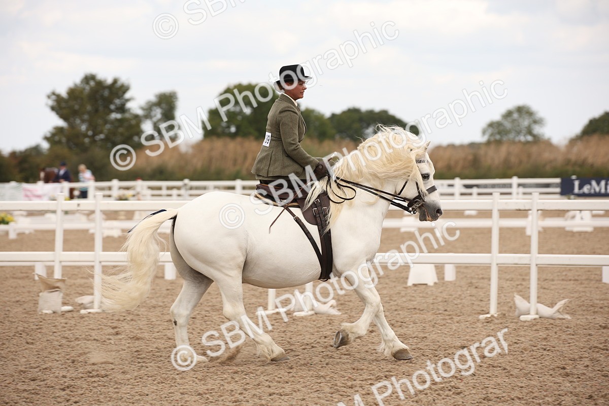 SBM_05339 - Class 22 SSA Equitation