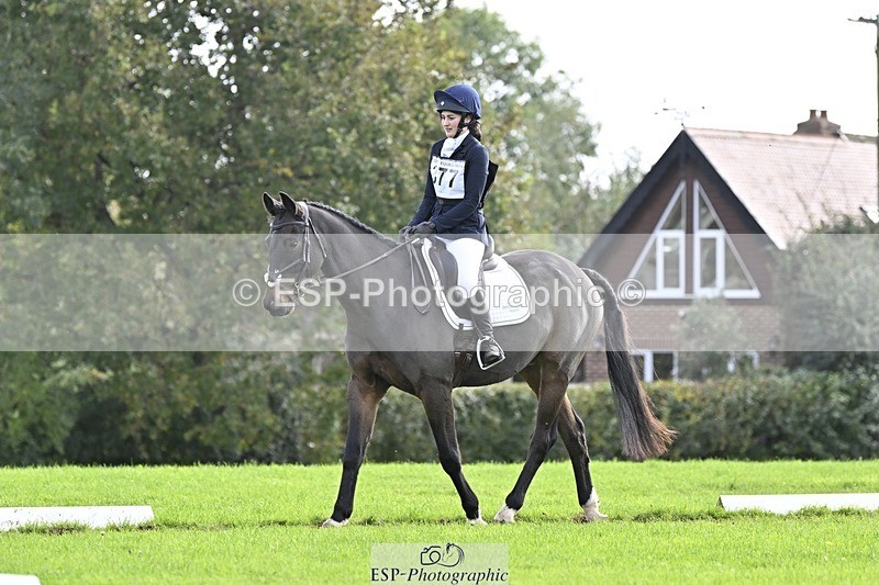 241025-132219-09431 - 377-Bethany.Hull-CARRICK.DIAMOND.OLIVER