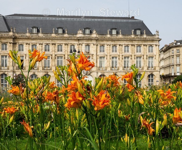 Bordeaux-53 - Bordeaux and nearby, France