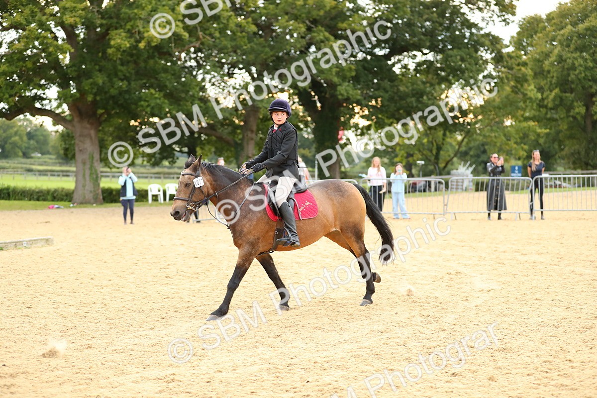 SBM_76245 - J19 - Junior 90cm Supreme Championship