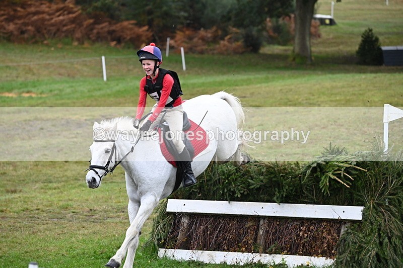 WJ6_2683 - 80cm Cam 1 Time 11:23 to 12:04