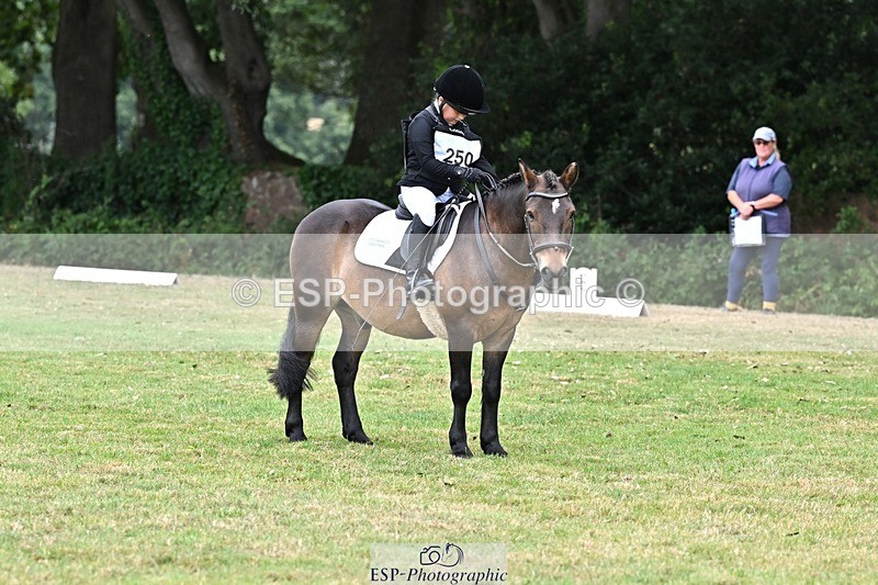 250820A-103007-02593 - Start to 11am