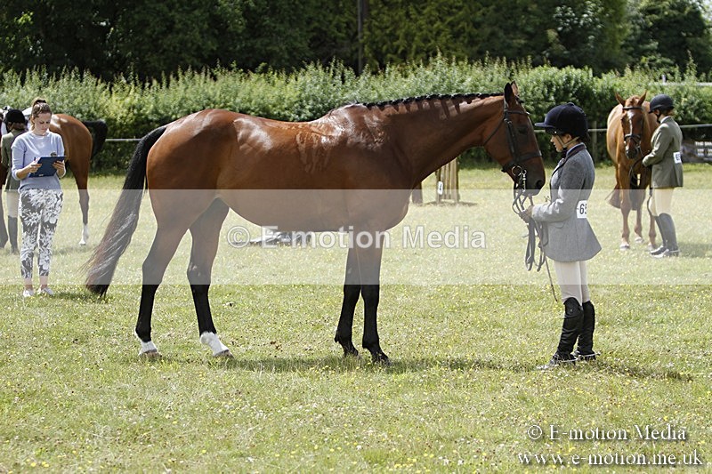 BVR160717-1857 - Ring 3 BVRC Show 16/07/17