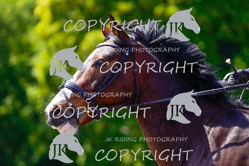 _DSC3814 - NOVICE 1