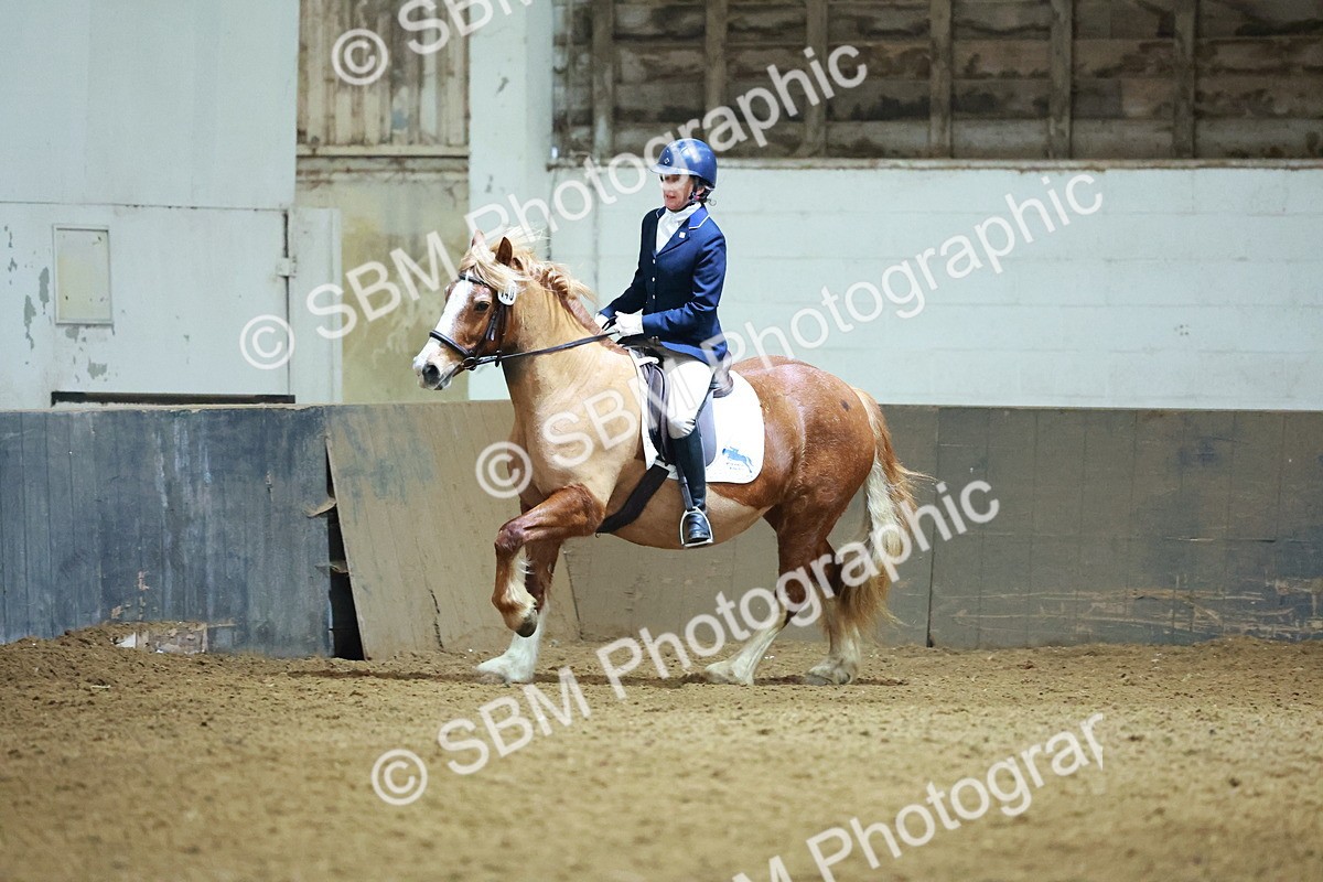 SBM_003656 - Novice 2