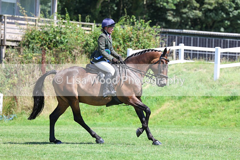 3E7A9167 - Working Hunter Championship