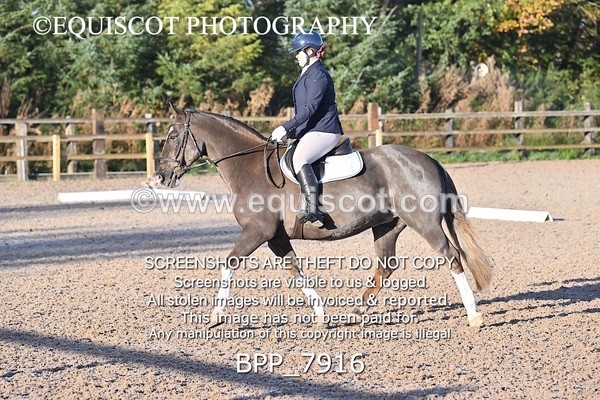 BPP_7916 - LONG ARENA PRELIM 4