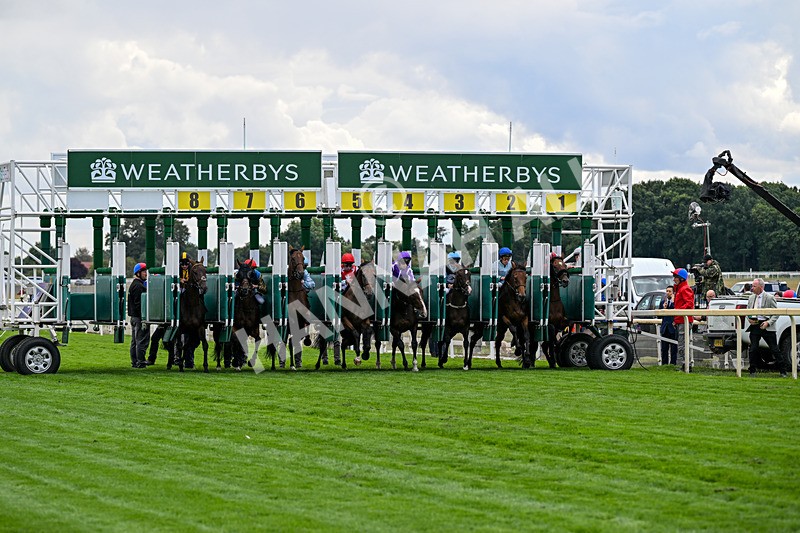 210826-Race 2-Al Nayyir-5253 - Race 2 14.25pm Weatherbys Lonsdale Cup Stakes