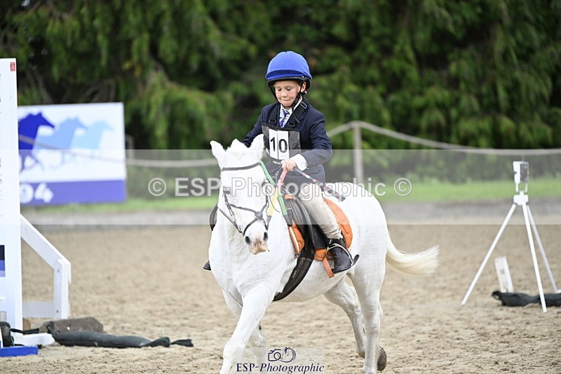 251005A-120605-03600 - Cls 08 Mini 70-75cm