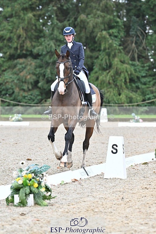 231019-104853-01977 - 103-BEECH.HILL.KIKO.CLOVER-Harriet.Blair-DR