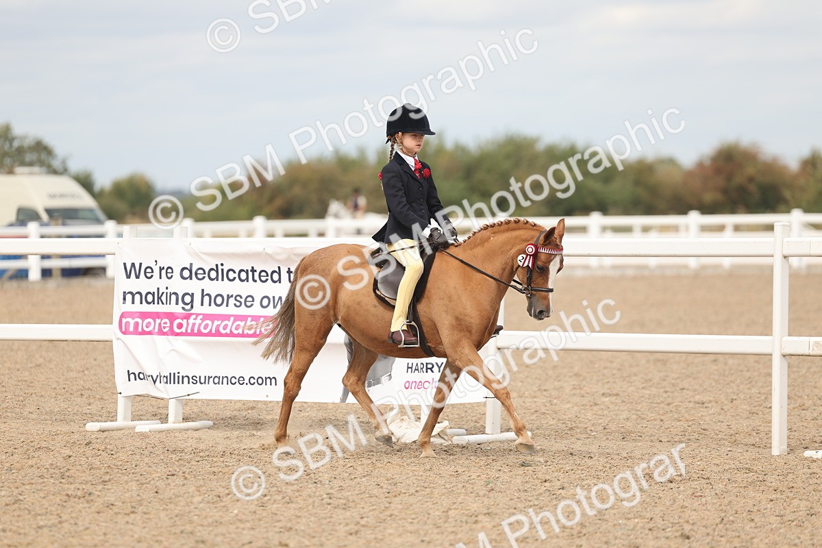 SBM_15961 - Class 311 - Ridden Show pony-Show hunter Pony