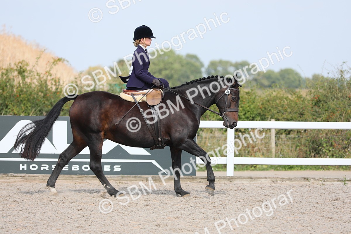 SBM_14526 - Class 211 Best Side Saddle Horse/Pony