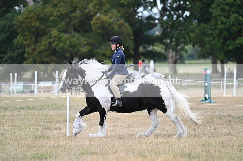 WJ7_5112 - Class 12 Ridden Cob