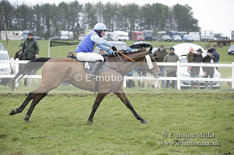 PtP 150320 0378 - New Forest Point-to-Point Larkhill 15/03/20