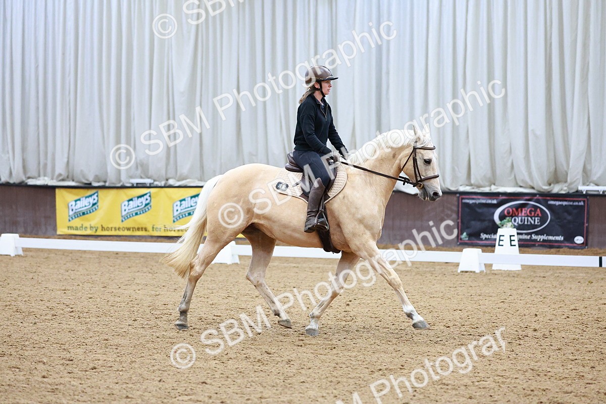 1I0A0645 - Class 3-6 - Prelim 1-Novice 2