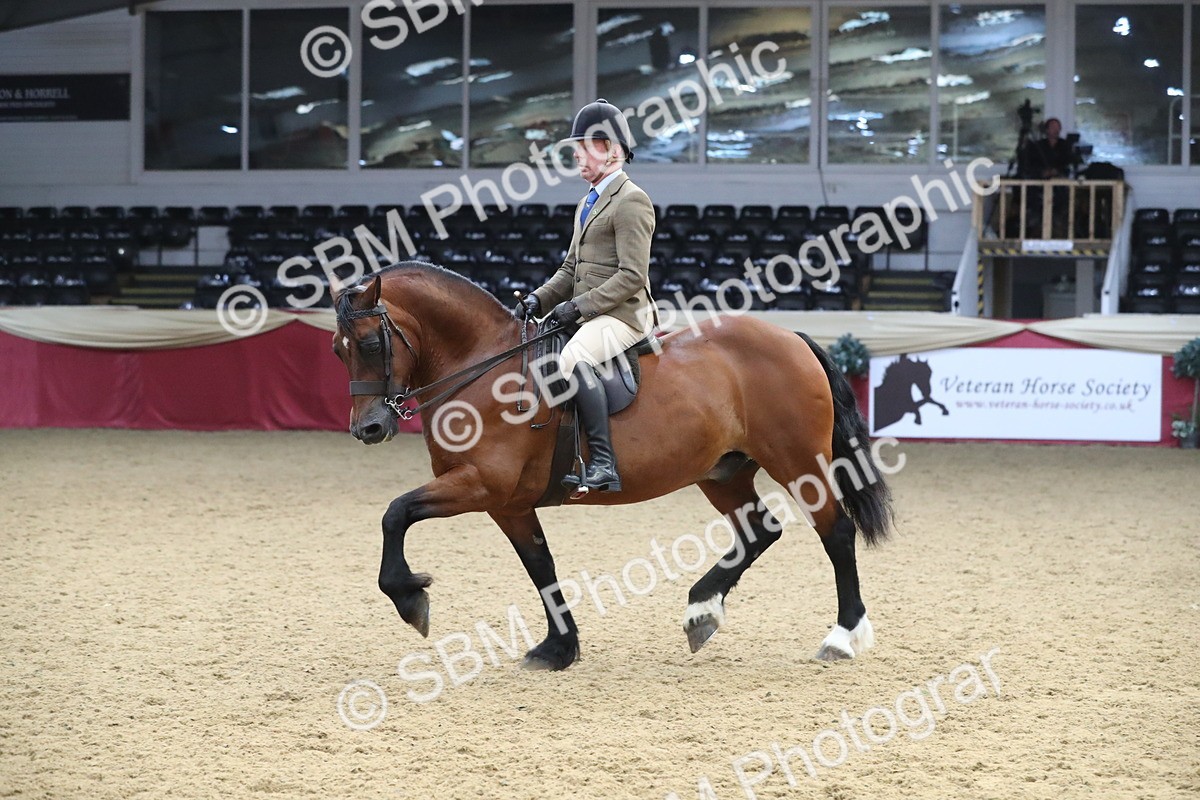 SBM_16360 - Class 502 M&M Ridden Supreme Final