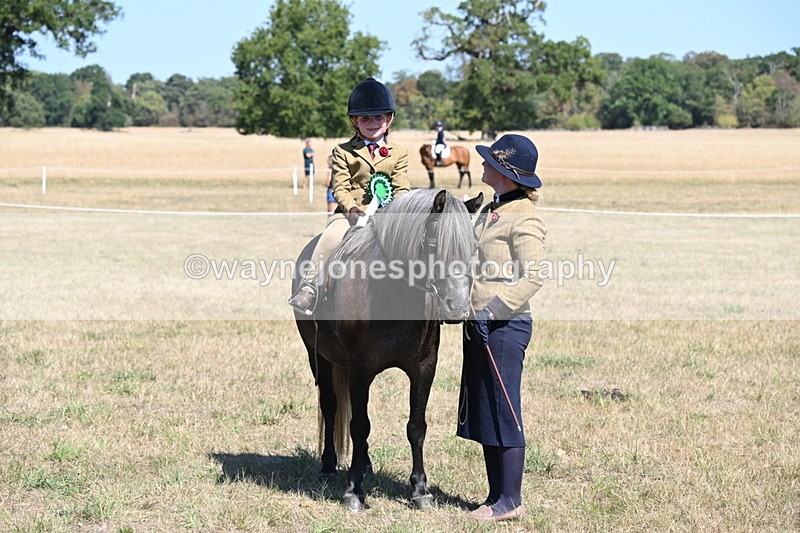 WJ6_8159 - Class 36 Lead Rein