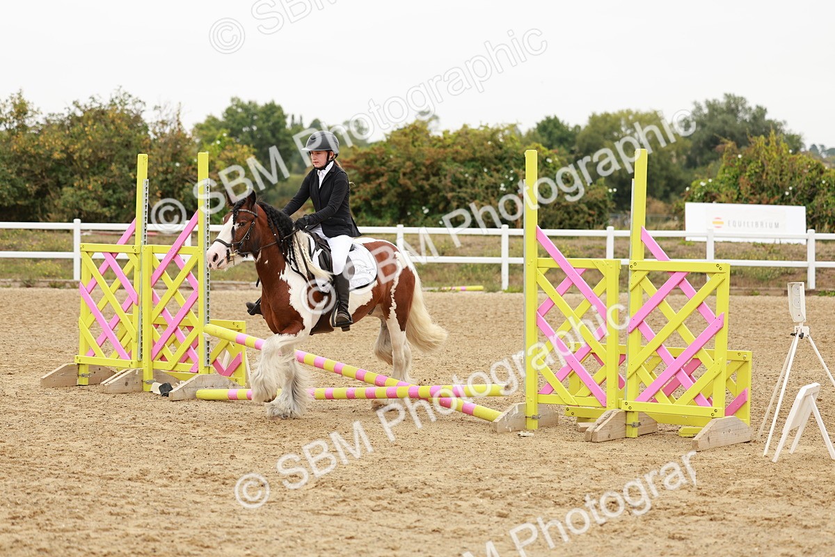 SBM_007071 - Class 1 - 40cm