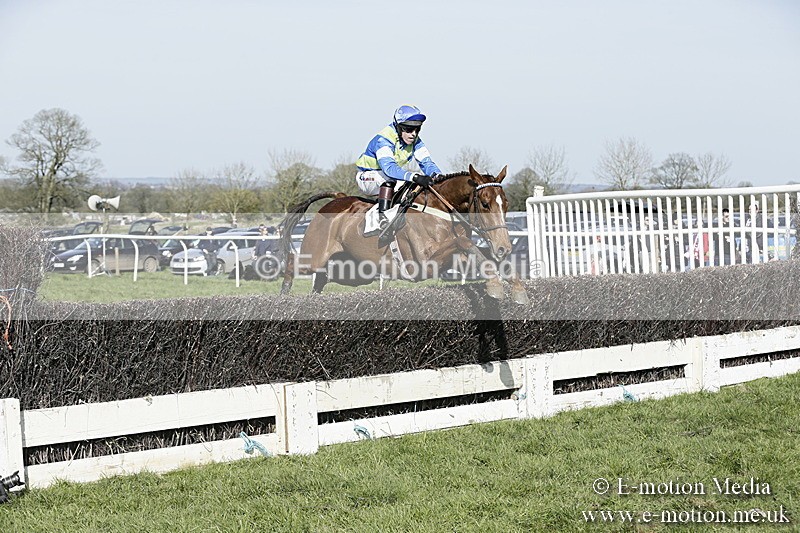 PtP 260317 294 - Mendip Farmers Point-to-Point Ston Easton 26/03/17