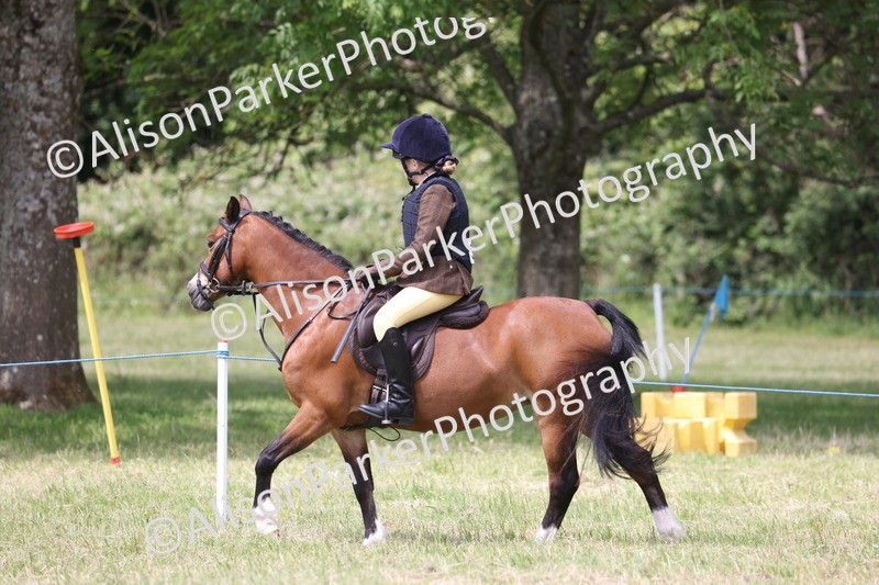 20260614-2123 - Class 21 - Novice Working Hunter Pony
