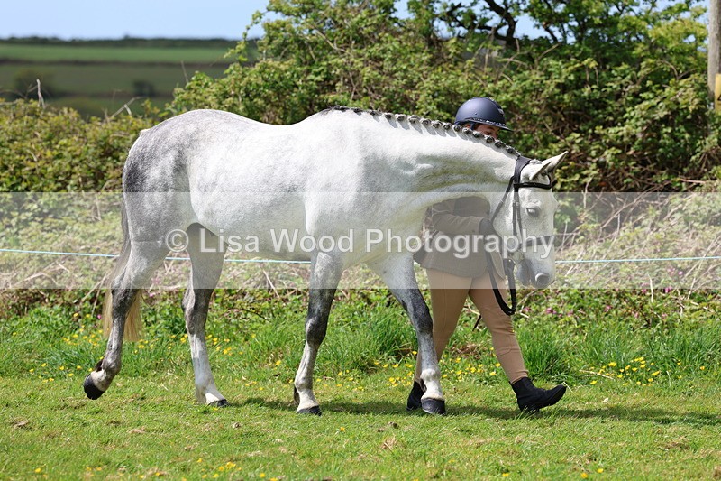 3E7A0433 - Class 20: Sports Horse