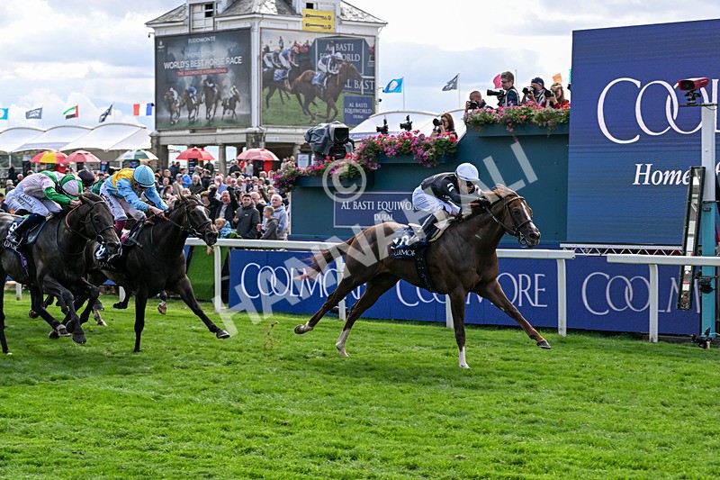 210826-Race 4-Bacio-6216 - Race 4 15.35pm Coolmore City Of Troy Nunthorpe Stakes