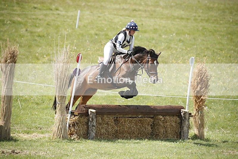 BVHT 140517  NXC -319 - Class 2 XC Novice 14/05/17