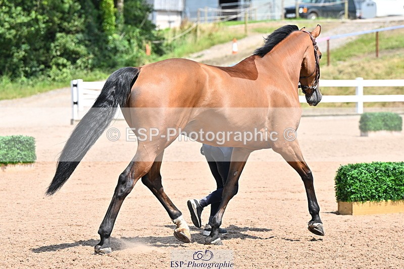 240718A-105317-01804 - Trot Up 1pm to 2pm