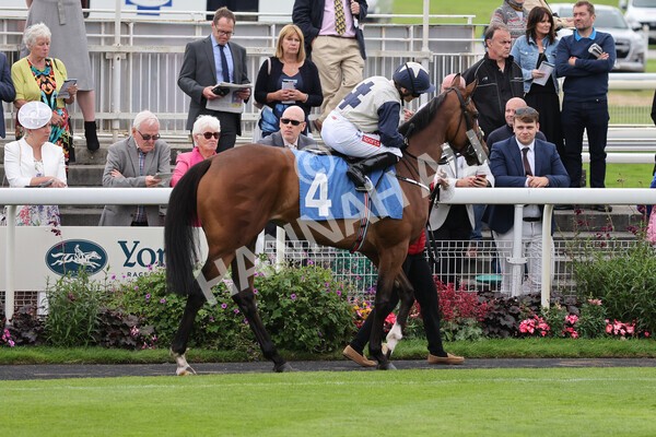 yr19082021r6-1 - Race 6 4.45pm British EBF & Sir Henry Cecil Galtres Stakes