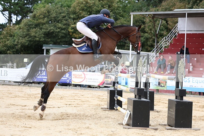 3E7A3482 - Class 9: Senior Foxhunter/1.20 open