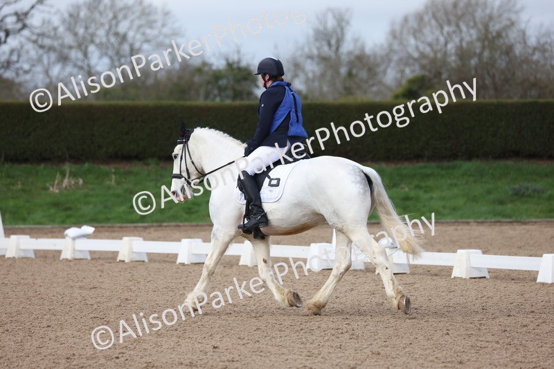 20260301-0164 - Class 3 - Novice 4