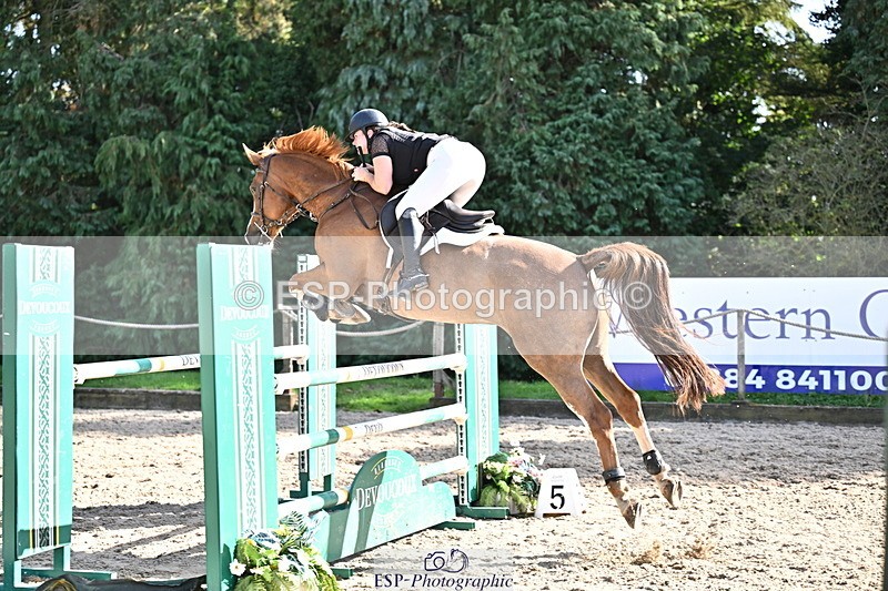 260906A-162016-04650 - Cls 24 Snr Foxhunter