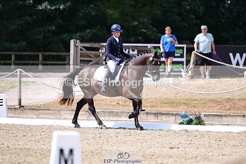 260802A-112912-06363 - Novice Bronze break - end