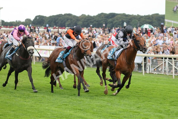 yr04092022r2-25 - Race 2 2.20pm John and Judith Marshall Memorial Stakes