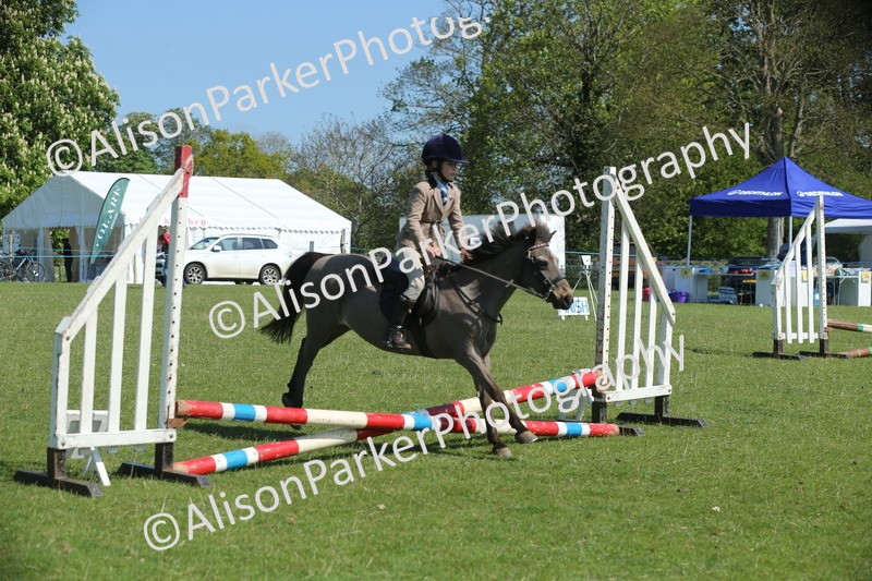 20250427-1932 - Class 2 - Mini Jumping 30cm