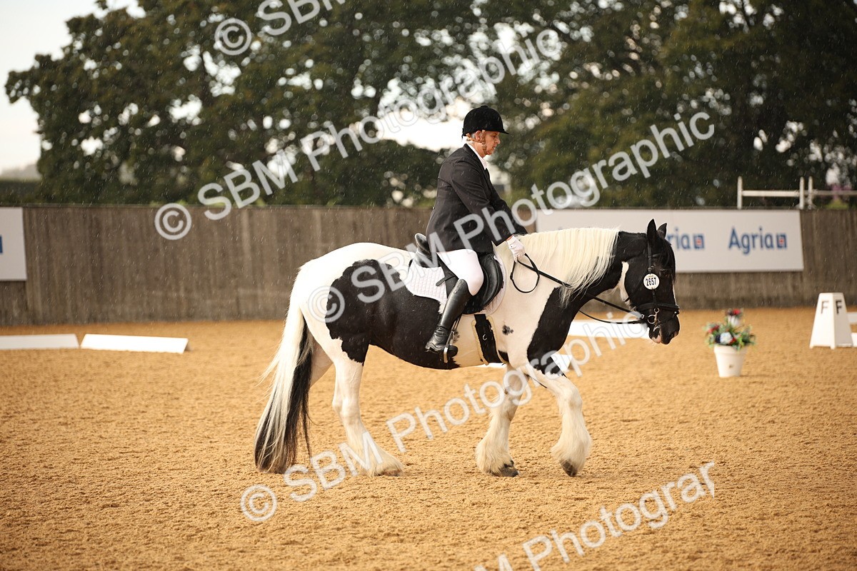SBM_12391_D3 - Small Tour Championship - Intro A - Theresa Huttom