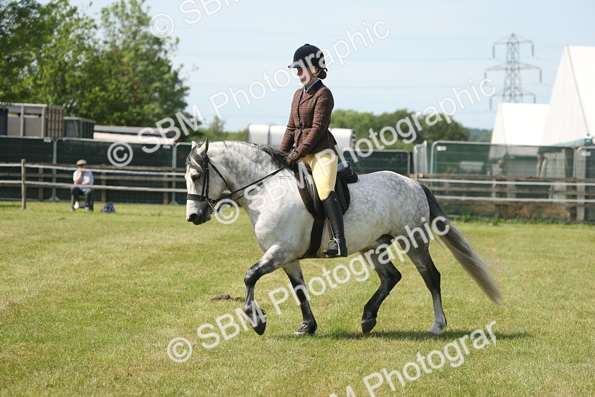 SBM_07614 - Class 26-30 - Mountain and Moorland Ridden