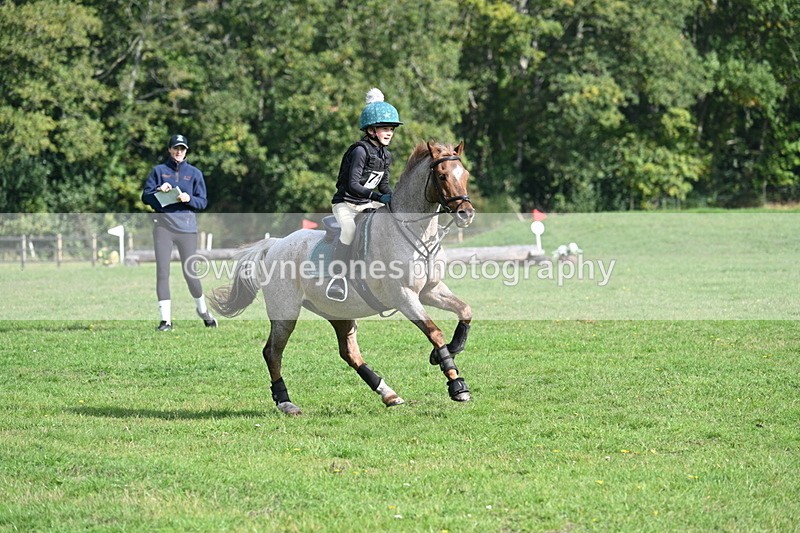 WJ7_4961 - 60cm Time 11:11 to 11:19