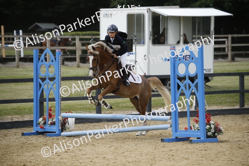 20250622-4043 - 50cm