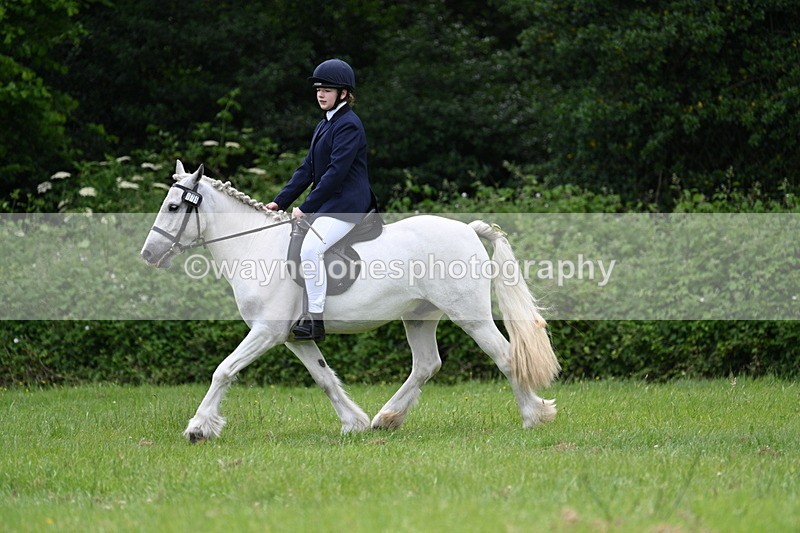 WJ7_2615 - Class 12A Coloured Class