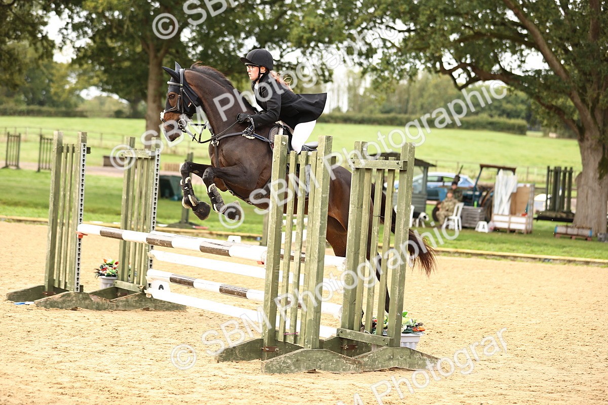 SBM_58454 - J41 - Grand Tour Horse & Pony 95cm