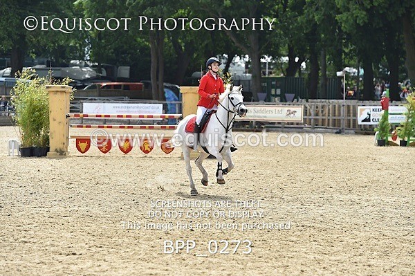 BPP_0273 - RHS 2019 Selection - *Just some random spectator shots so Lucky Dip if you are there!