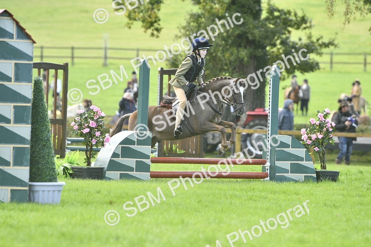 SBM_37188 - S31 - Novice & Newcomer Working Hunter Pony