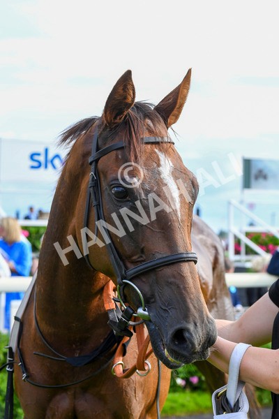 280723-Race 2-Quest For Fun-0240 - Race 2 5.30pm eventmasters.co.uk Handicap