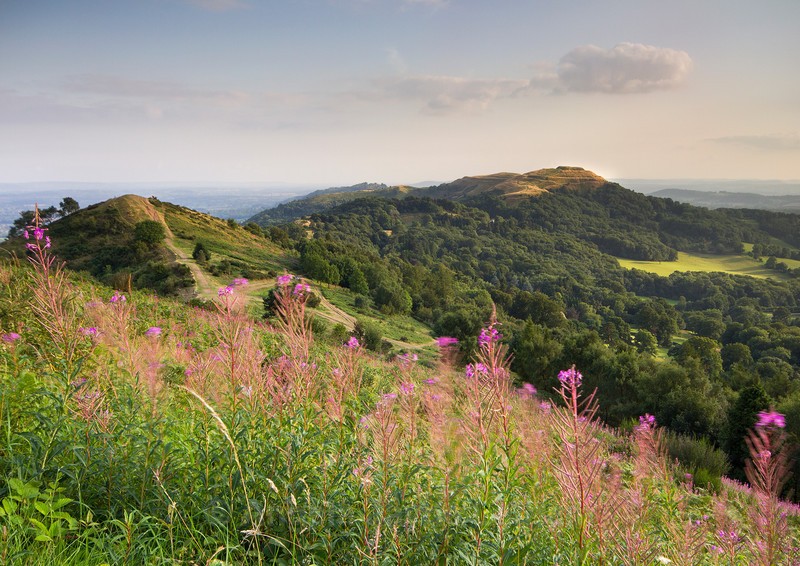 Late Summer Evening - The Malvern Hills